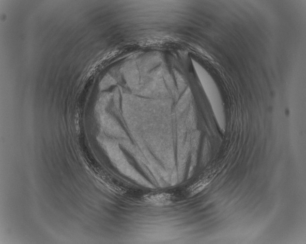 X0000067840452200605111647