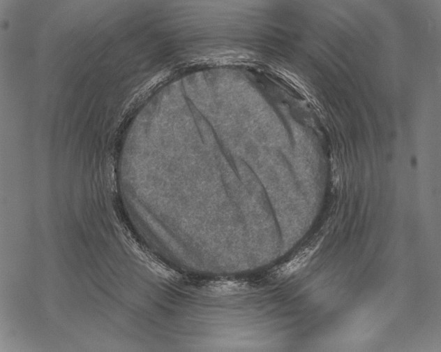 X0000067840453200605111647