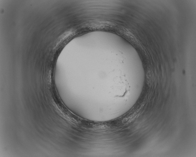 X0000067840454200605111647