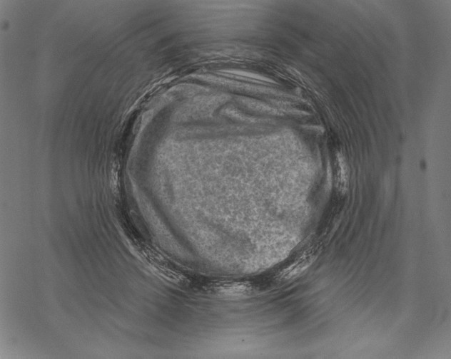 X0000067840456200605111647