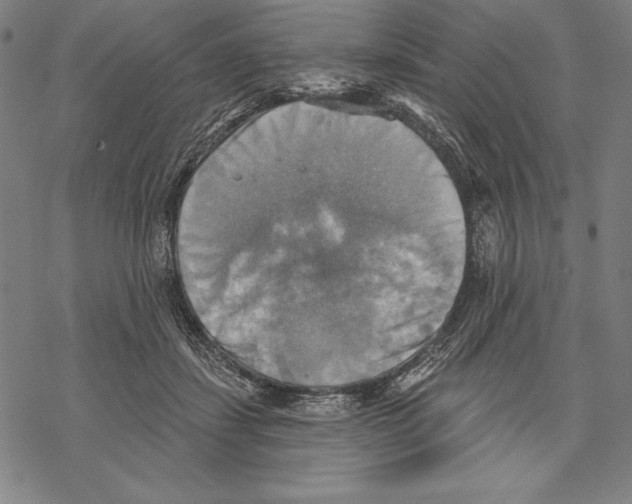 X0000067840459200605111647