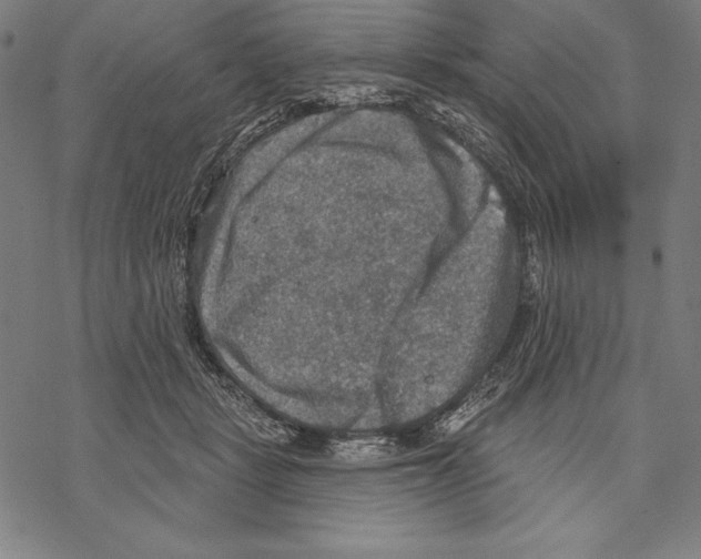 X0000067840461200605111647