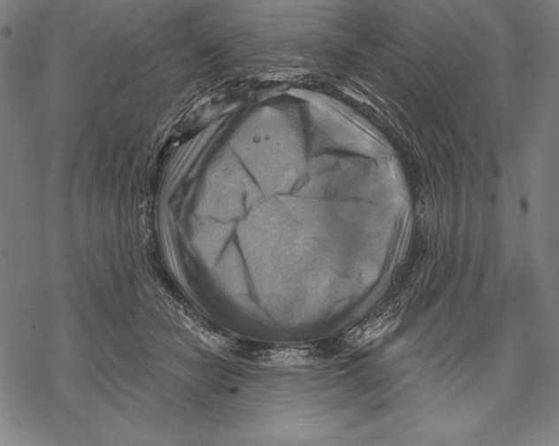 X0000067840462200605111647