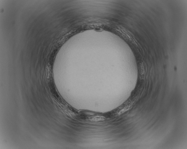 X0000067840463200605111647