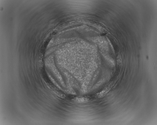 X0000067840464200605111647