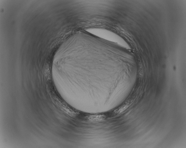 X0000067840465200605111647