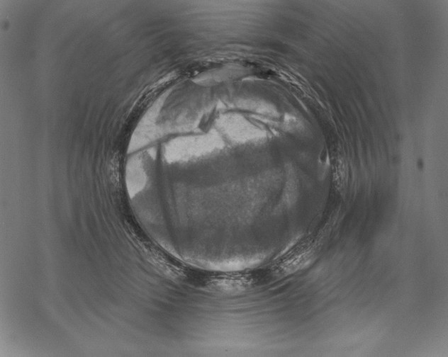 X0000067840466200605111647