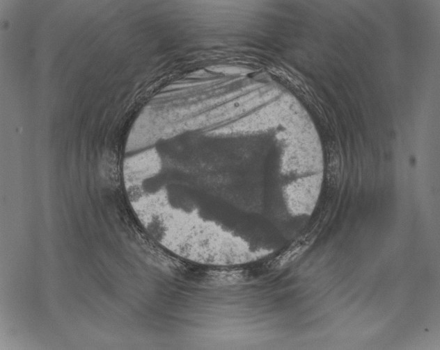 X0000067840469200605111647