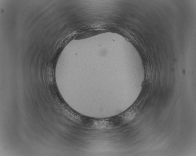 X0000067840470200605111647