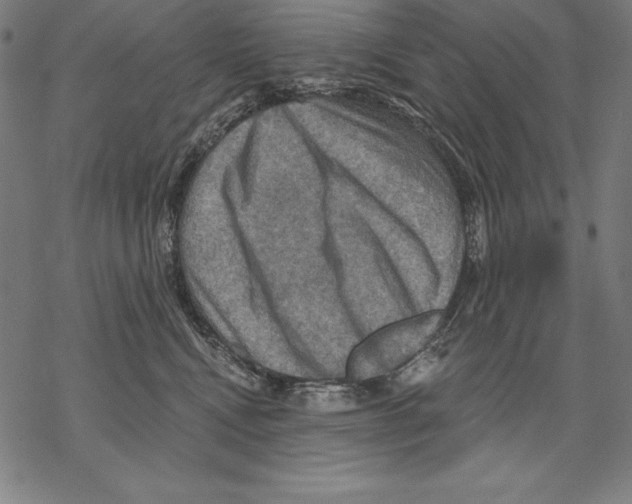 X0000067840472200605111647