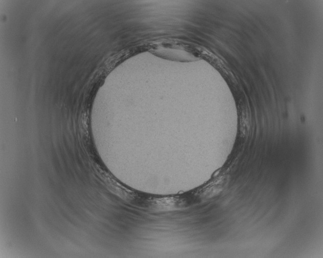 X0000067840473200605111647