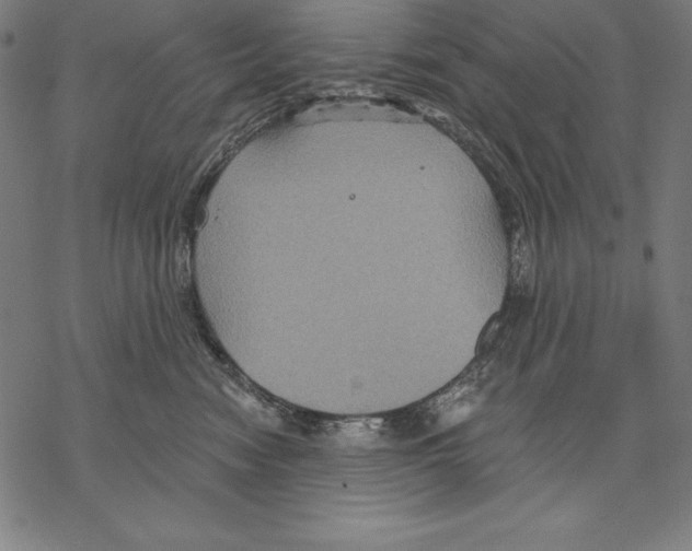 X0000067840474200605111647