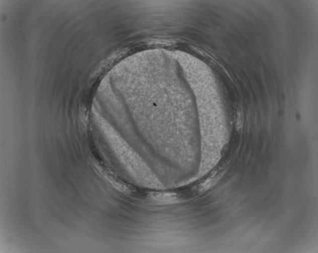 X0000067840476200605111647