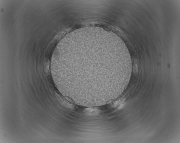 X0000067840477200605111647