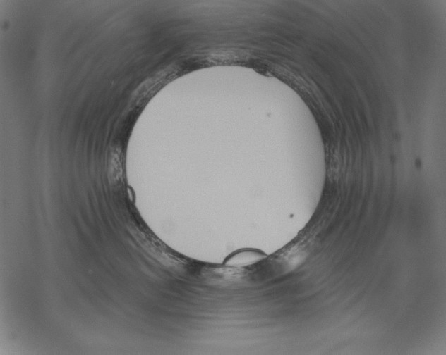 X0000067840478200605111647