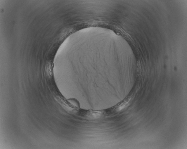 X0000067840479200605111647