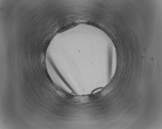 X0000067840480200605111647