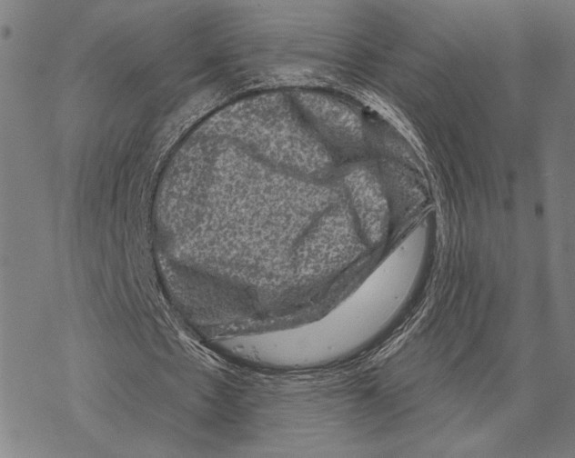 X0000067840481200605111646