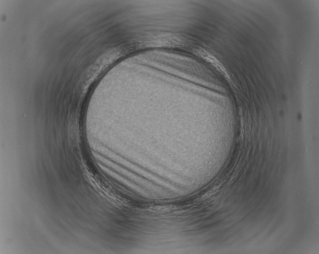 X0000067840482200605111646