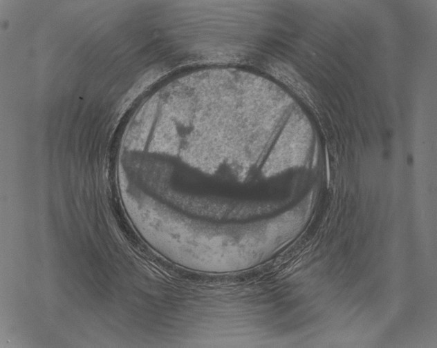 X0000067840483200605111646