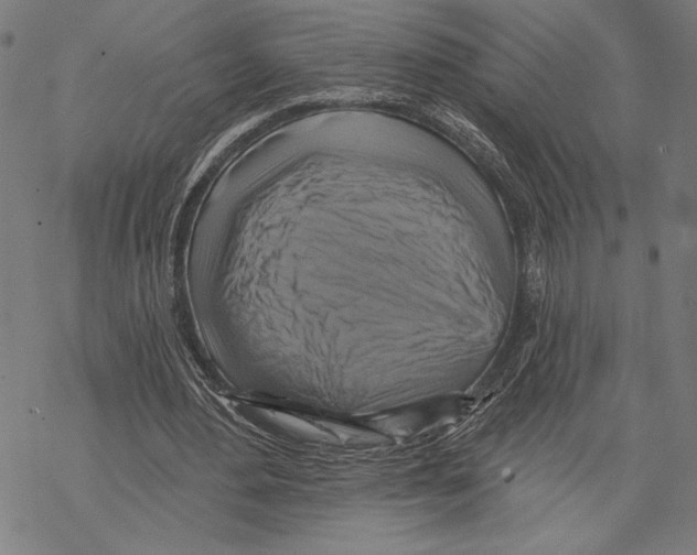 X0000067840484200605111646