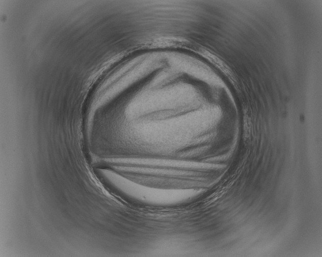 X0000067840485200605111646