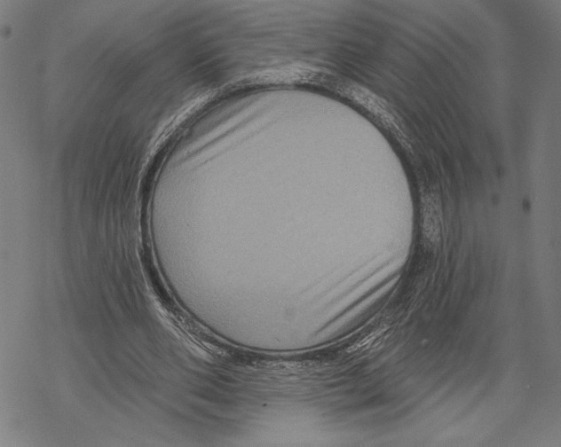 X0000067840486200605111646