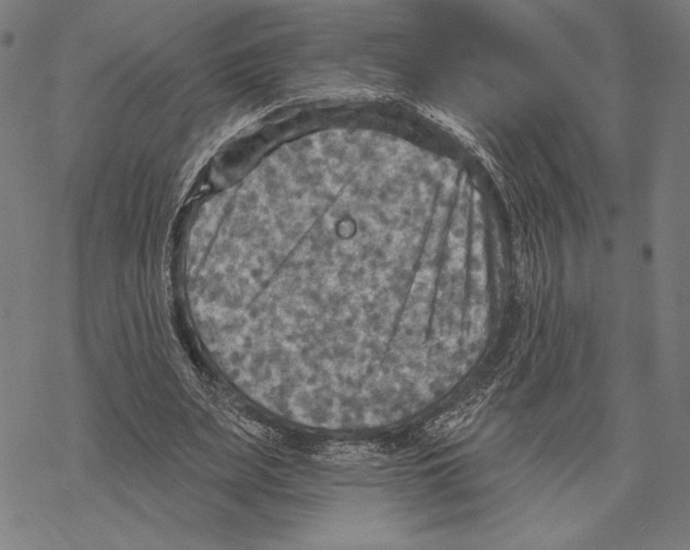 X0000067840487200605111646