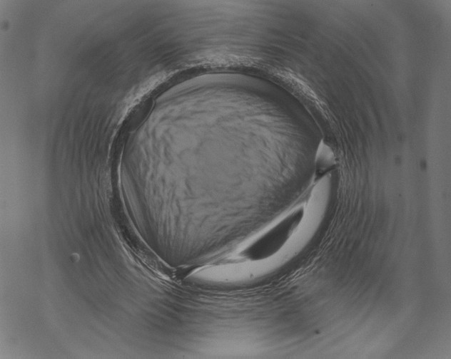 X0000067840488200605111646