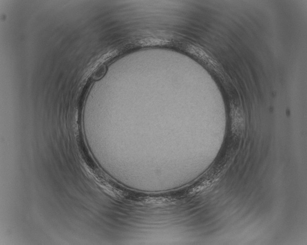 X0000067840490200605111646