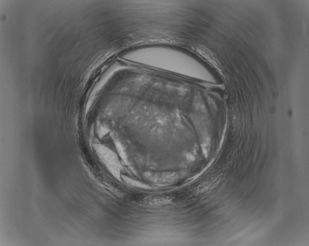 X0000067840491200605111646