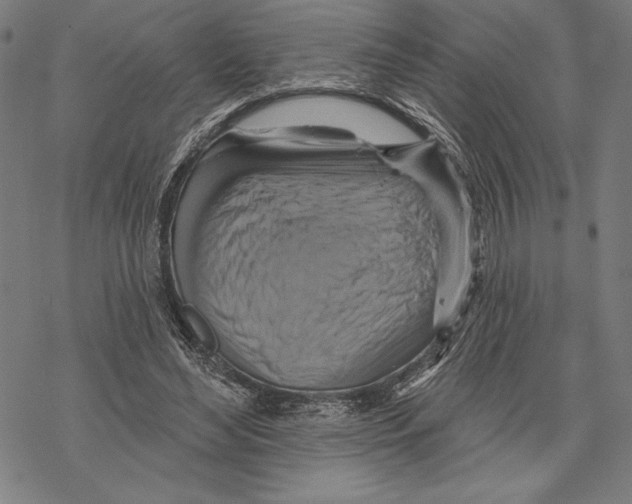 X0000067840492200605111646