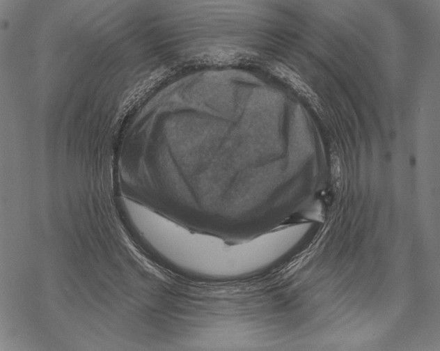 X0000067840493200605111646