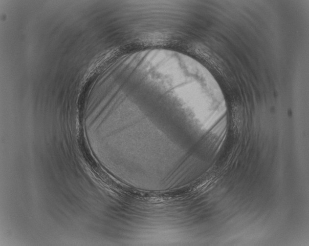 X0000067840494200605111646