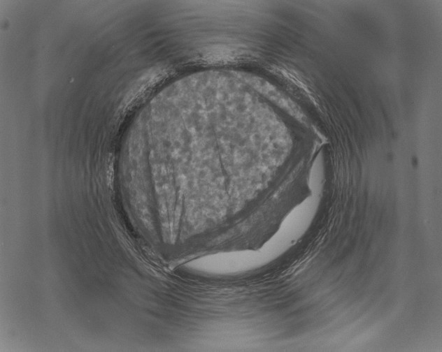 X0000067840495200605111646