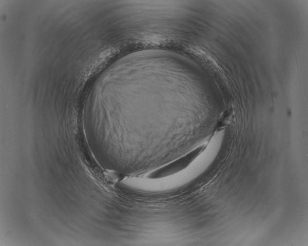 X0000067840496200605111646