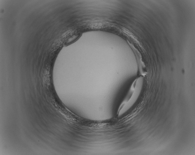 X0000067840497200605111646