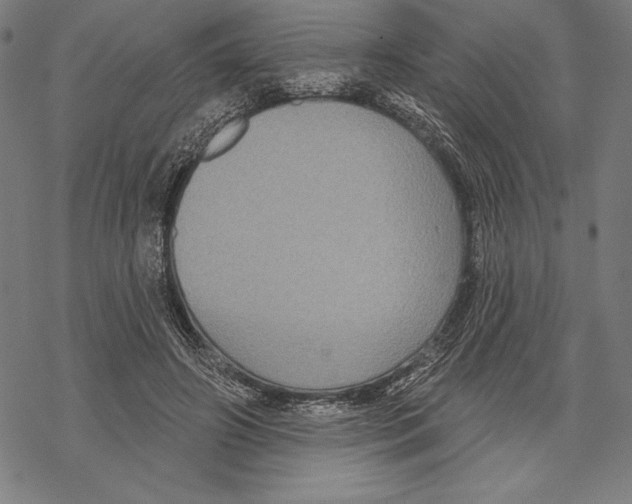 X0000067840498200605111646