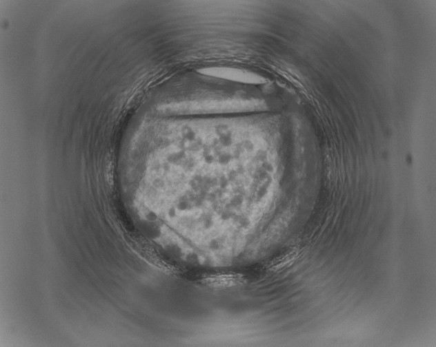 X0000067840499200605111646