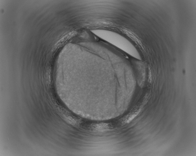 X0000067840501200605111646