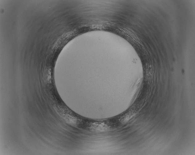 X0000067840502200605111646