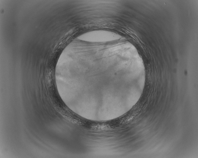 X0000067840503200605111646