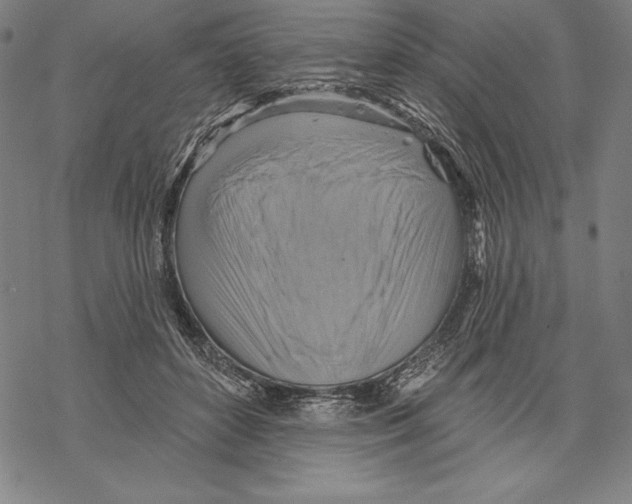 X0000067840504200605111646