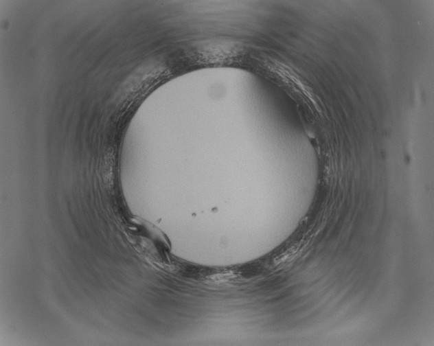 X0000067840505200605111646