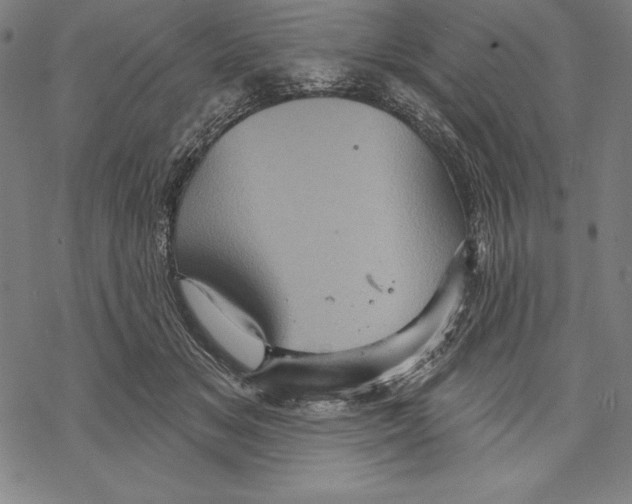 X0000067840509200605111646