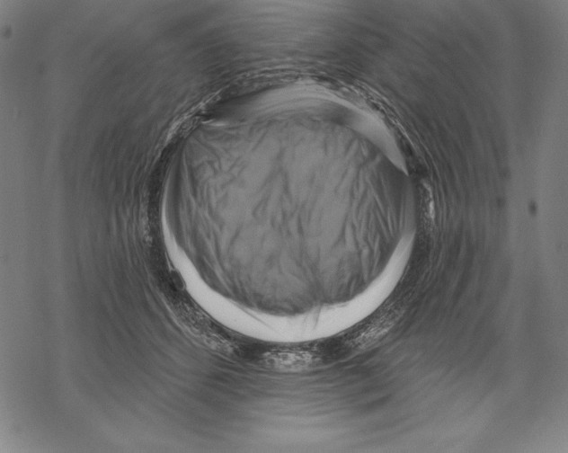 X0000067840512200605111646