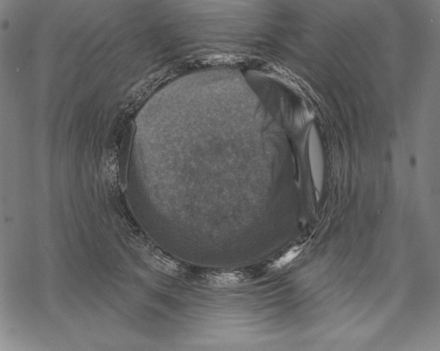 X0000067840513200605111646