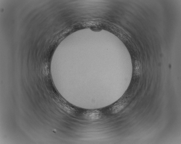 X0000067840514200605111646