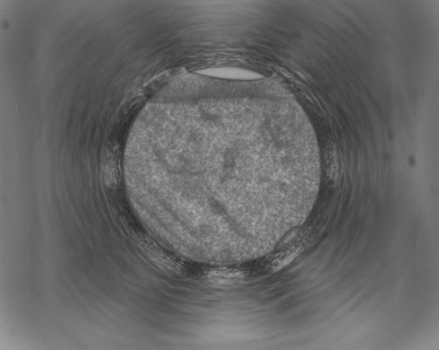 X0000067840515200605111646