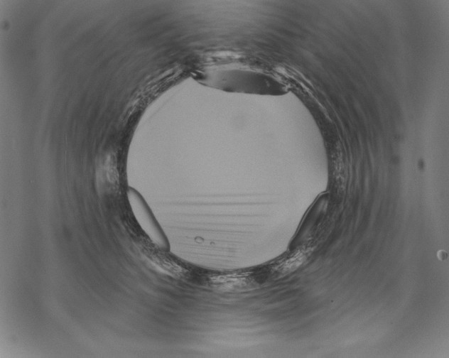 X0000067840516200605111646